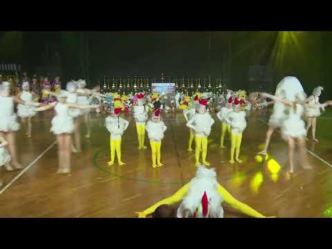 KAPRYS JĘDRZEJÓW - KURCZAKI NOWE ŻYCIE