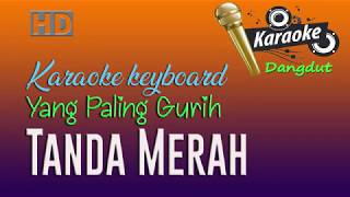 Download lagu TANDA MERAH - Karaoke dangdut tanpa vokal - Elvy Sukaesih mp3