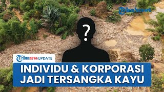 Tok! Polri Tetapkan Tersangka Individu dan Korporasi terkait Gelondongan Kayu di Bencana Sumatera