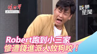 Robert跑到小三家　慘遭錢進放狗咬