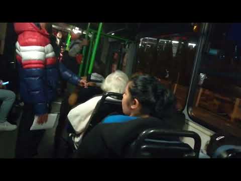 Ikarus 280.49 - BPO-805 - @30