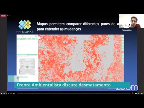 Frente Parlamentar Ambientalista debate aumento da taxa de desmatamento - 17/06/20