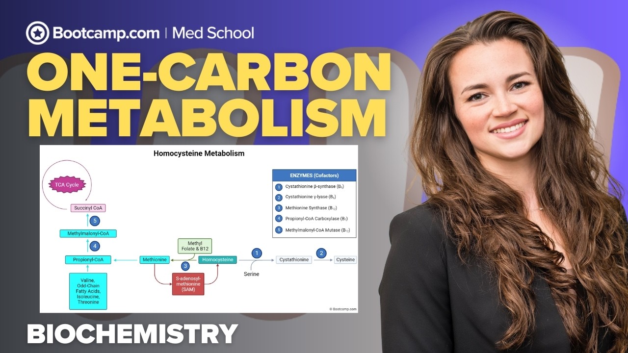 Biochemistry Chapter 6 | One-Carbon Metabolism Explained (Folate, MTHFR, SAM, Homocysteine)