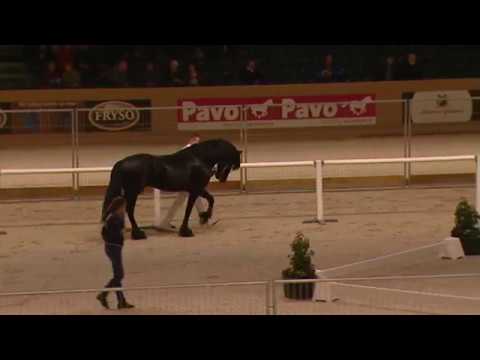 Tweede Bezichtiging 2017 – Groep 01