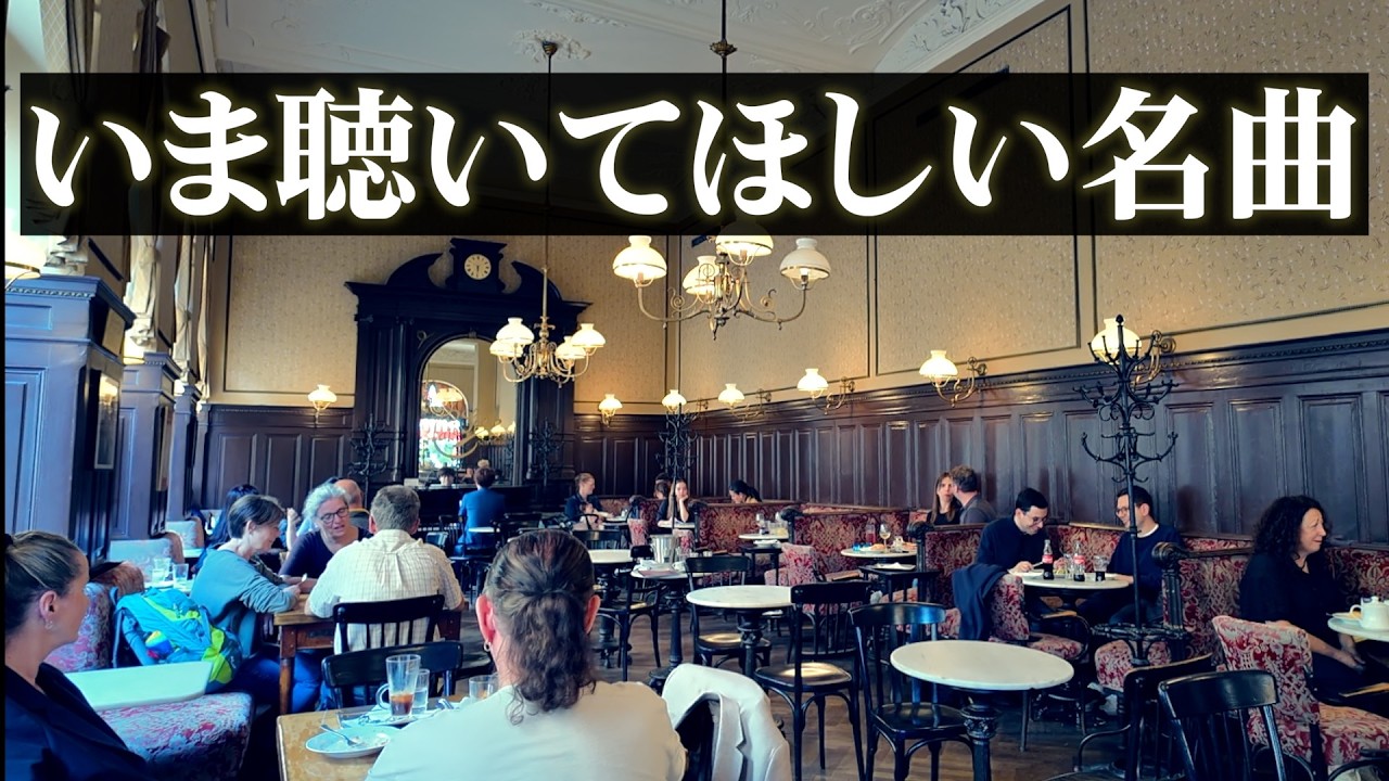 ウィーン老舗カフェが一瞬で静まり返った...映画『ひまわり』をゲリラ演奏してみた【Sunflower】