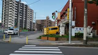 異種鳴き交わしが同種鳴き交わしに設定変更されてた