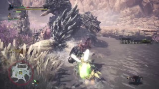 04MHWβ