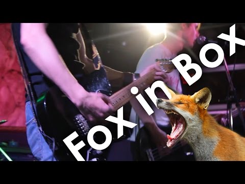 STRIKNAIN - Fox in Box (live 2015)
