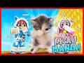ATUN MOMON DO THE KICAU MANIA DANCE Roblox