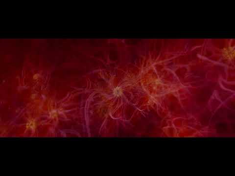 Enter The Void DMT TRIP