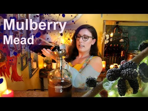 Making a Morat (Mulberry Mead)