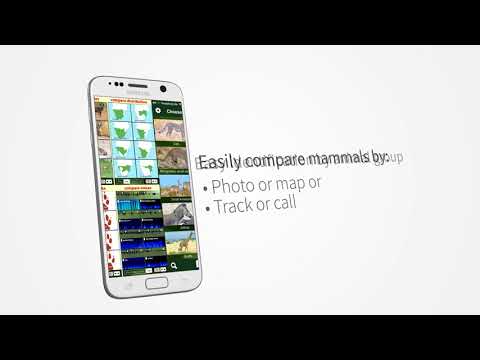 Mammal Guide Southern Africa Video