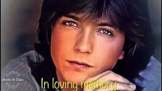 Together We’re Better ~ David Cassidy &amp; The Partridge Family