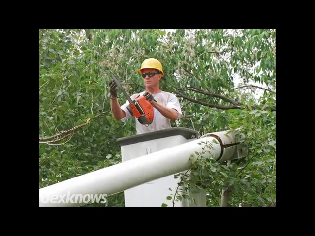 Advanced Tree Service - Spring Grove, IL