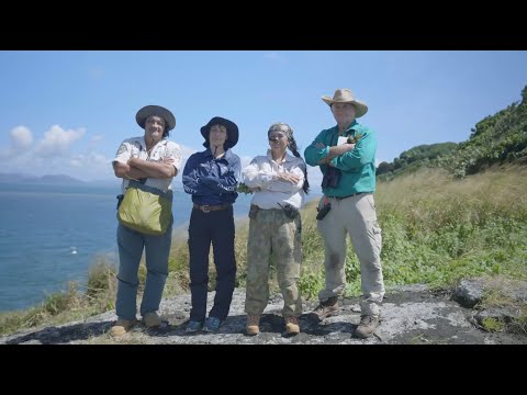 Restoring Stephens Island: Mandubarra efforts in the northern Great Barrier Reef