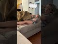 My Vicious GIANT Doggo Brutally Squashes My Daughter Puppy Shorts Funnydogs