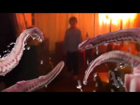 Une pieuvre mutante s'est échapper de l'aquarium scientifique !