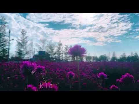 Sky Restaurant – Hi-Fi Set (Remix)