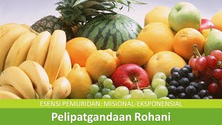 Bagian 3: Pelipatgandaan Rohani Misional