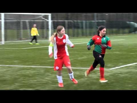 Zuidvogels MC1 - IJsselmeervogels MC1 - 01-02-2014 (Actie Lisa)