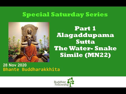 Part 1 - Alagaddupama Sutta (MN22) by Bhante Buddharakkhita - 20201128