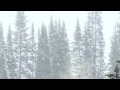 Winter Storm Sound - 1 Hours Of Ambient Snowstorm, Blizzard Sounds, Heavy Wind For Relaxation