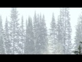 Winter Storm Sound 1 Hours Of Ambient Snowstorm Blizzard Sounds Heavy Wind For Relaxation