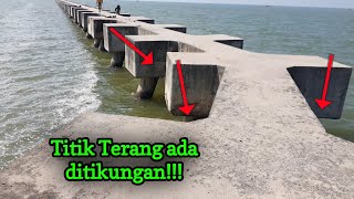 Download lagu Mancing hampir putus asa,tapi setelah geser liat hasilnya !!! Dam merah PLTU Lontar mp3