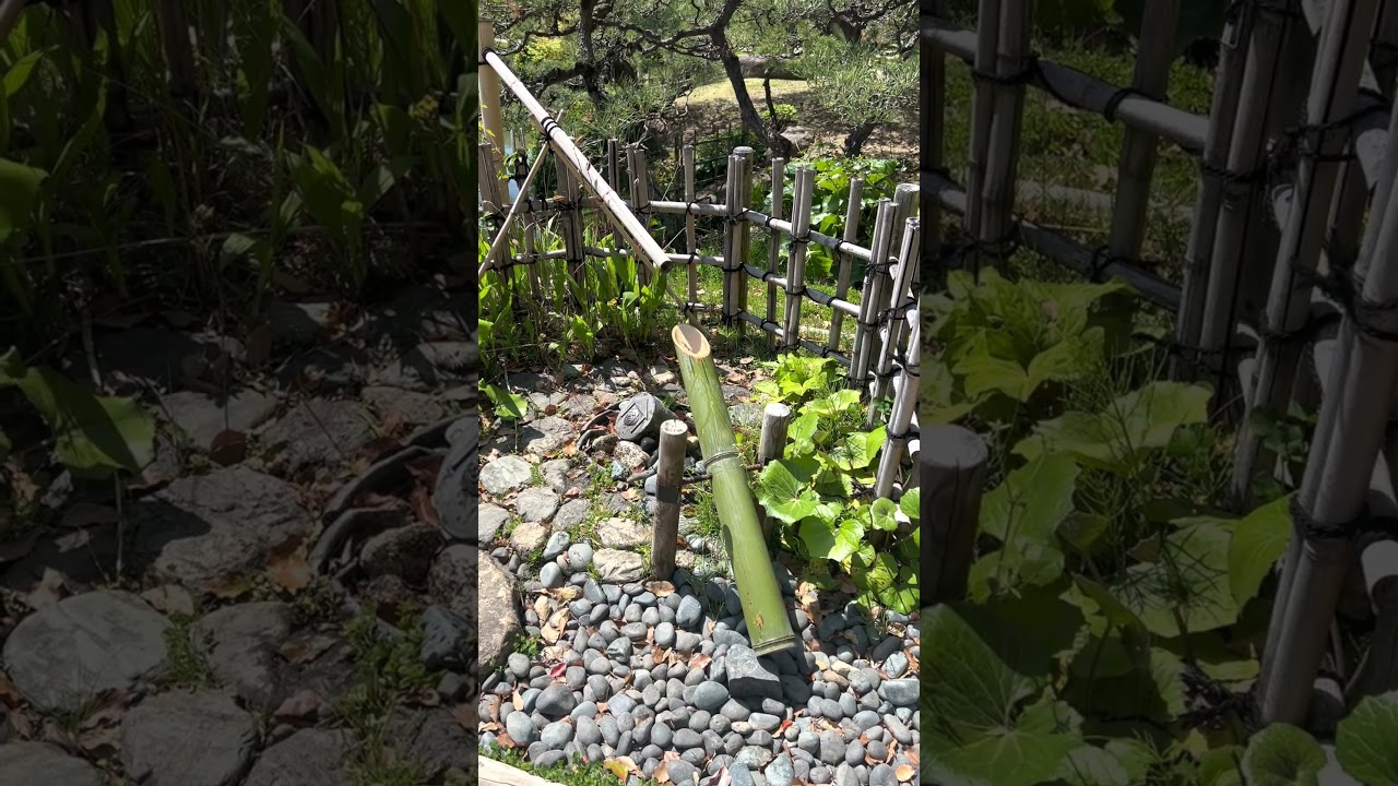 YouTube Short thumbnail