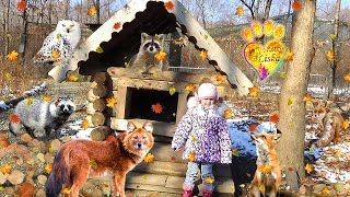 №1 Приморский САФАРИ ПАРК, первая экскурсия- https://youtu.be/V4_uv4B2SDc Primorskiy SAFARI PARK - The second tour: Park of beasts of prey, bird park. Все