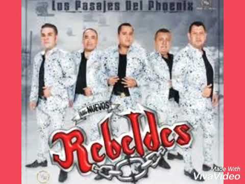 Un cariño como tú - los nuevos rebeldes  ( 2020 )