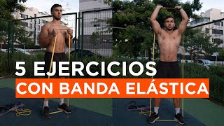 5 EJERCICIOS DE FUERZA EN CASA para PÉRDIDA DE GRASA CON BANDA ELÁSTICA