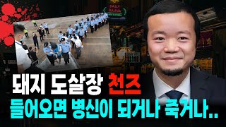 Download lagu The true story of a pig slaughterhouse mystery where once you enter, you can't leave. mp3