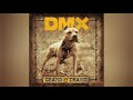 DMX - Rob All Night (If I'm Gonna Rob) (Clean) - Album Version