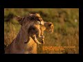 Born Free - vocal s by Matt Monro