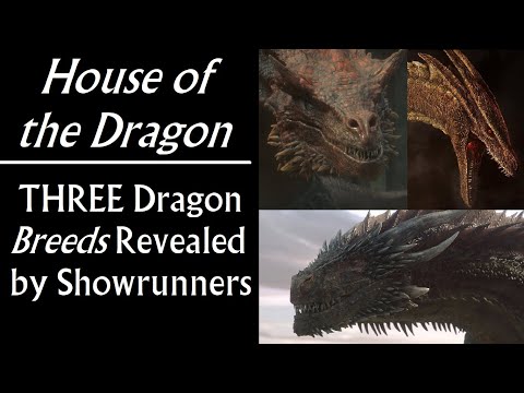 House of the Dragon: 3 Dragon BREEDS Revealed by Showrunners (Game of Thrones prequel)