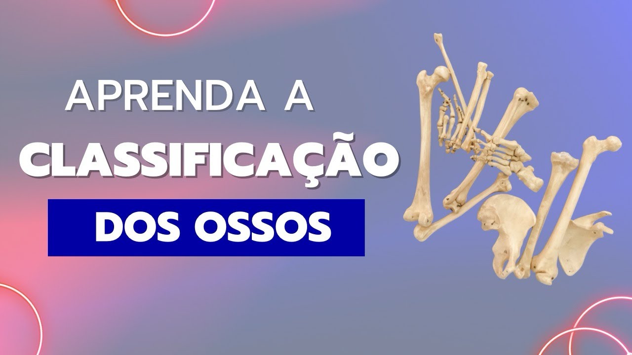 Classificação dos ossos | Quanto à FORMA e LOCALIZAÇÃO 🦴