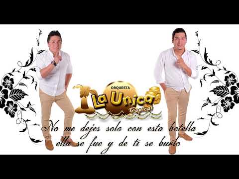 MALDITA TRAICIÓN - LA UNICA TROPICAL (SIN FRONTERAS)