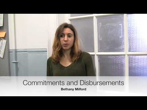 20. Commitments and Disbursements