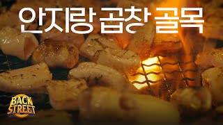 하루 12톤의 곱창이 소비되는곳, 전국 최대 규모 안지랑 곱창 골목
