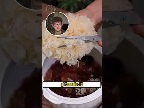 DESERT din RASINA de COPAC(Alex Hada Reacts) #shorts
