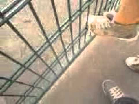 Einbruch in die Schule 2