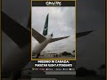 Gravitas | Missing in Canada: Pakistan flight attendants | WION Shorts