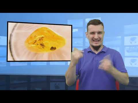 • Jarosławiec – ojciec kradł w Muzeum Bursztynu (Tłumaczenie na Język Migowy - PJM)