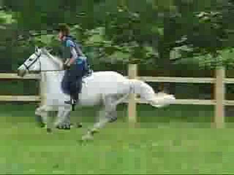 LITTLE Jasper At Full SPEED!