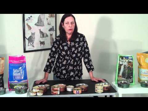 How Much Should You Feed Your Cat? - YouTube