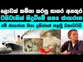 ටයිටැනික් අනතුරේ ඔබ නොදුටු ඡායාරූප ක�