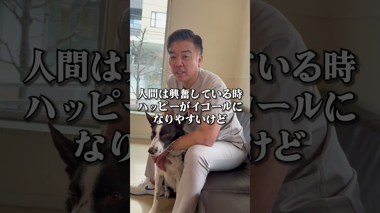 元気そうだけど危ないサインは？#shorts