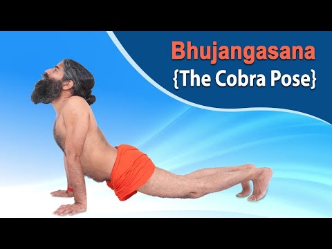 Correct Way to do Bhujangasana The Cobra Pose Steps and Benefits | Swami Ramdev
