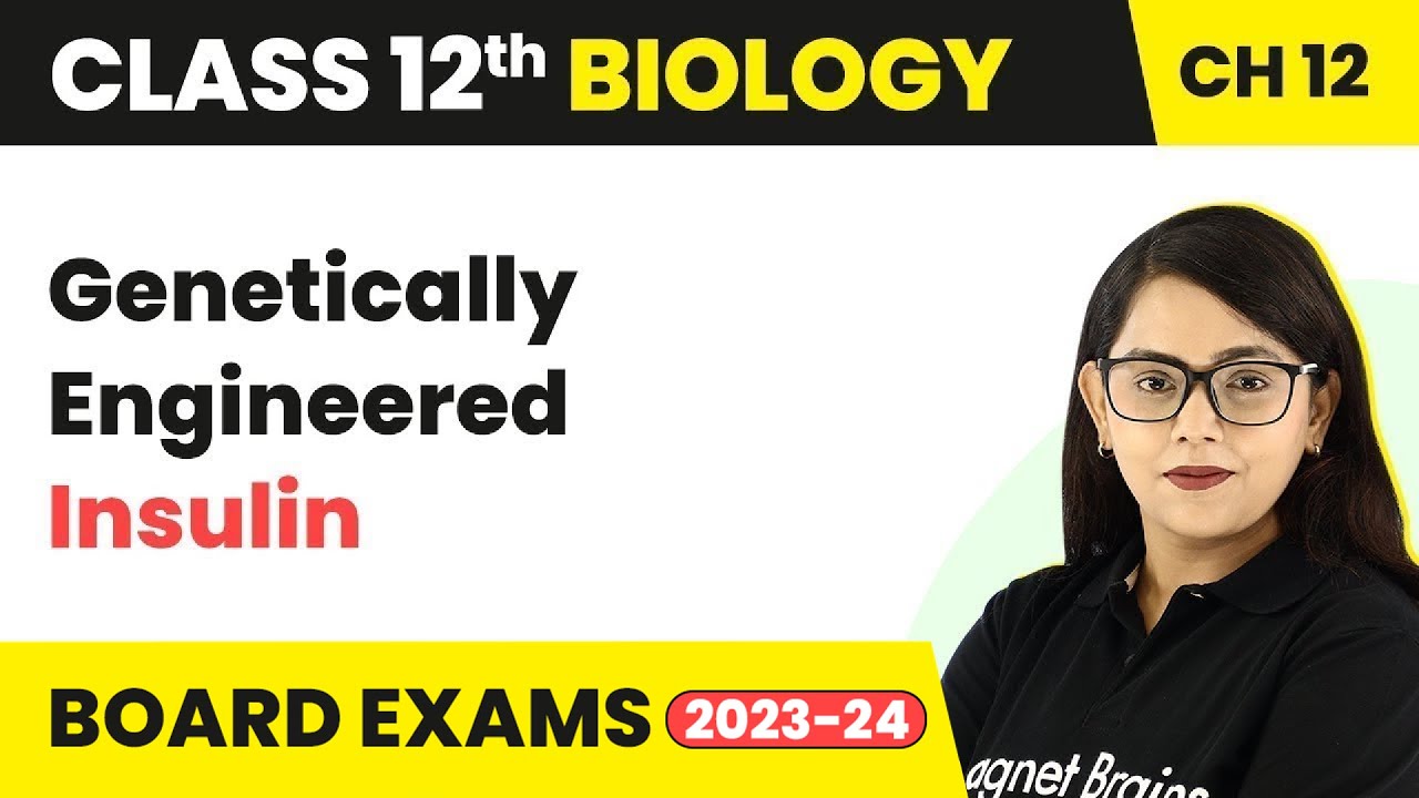 Genetically Engineered Insulin | Class 12 Biology Chapter 12 NCERT/NEET (2022-23)